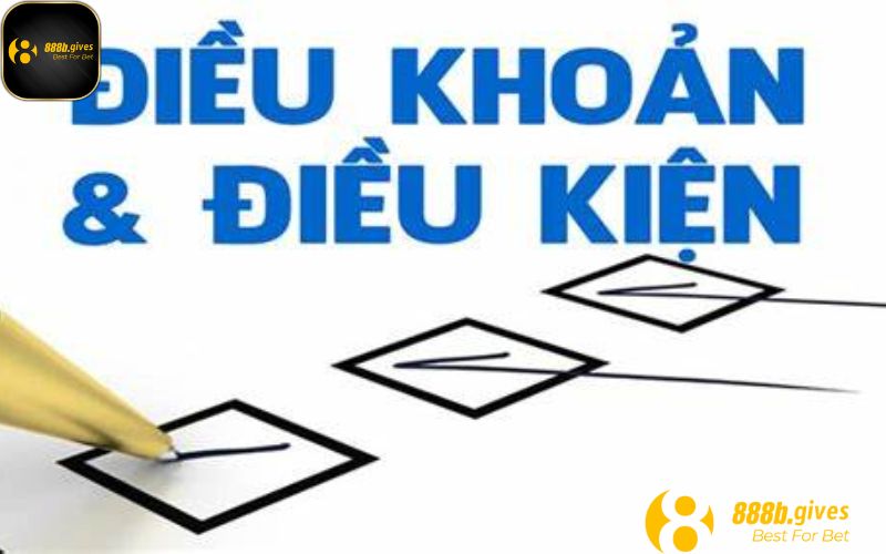 Các thông tin quan trọng trong điều khoản và điều kiện