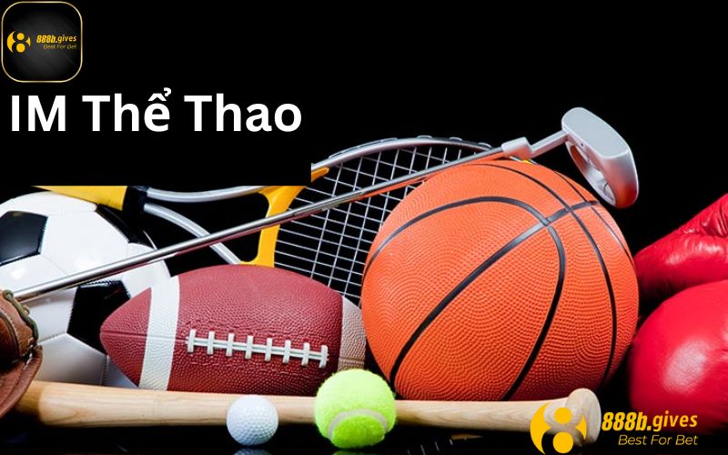 Tổng quan chung các nội dung của IM thể thao